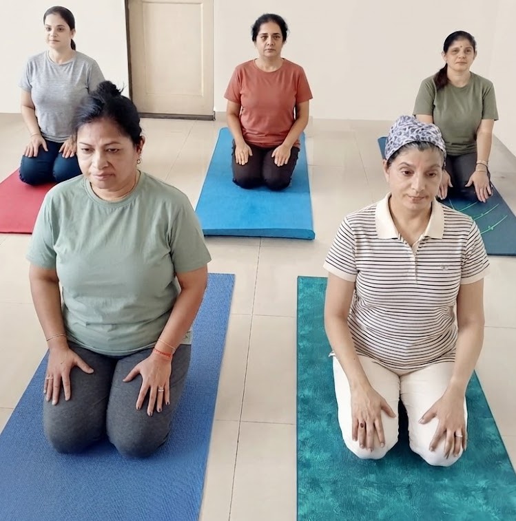 Person seated in Vajrasana, Thunderbolt Pose